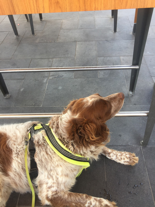 0DEBB333-6264-4916-BB57-E580E4038CC7