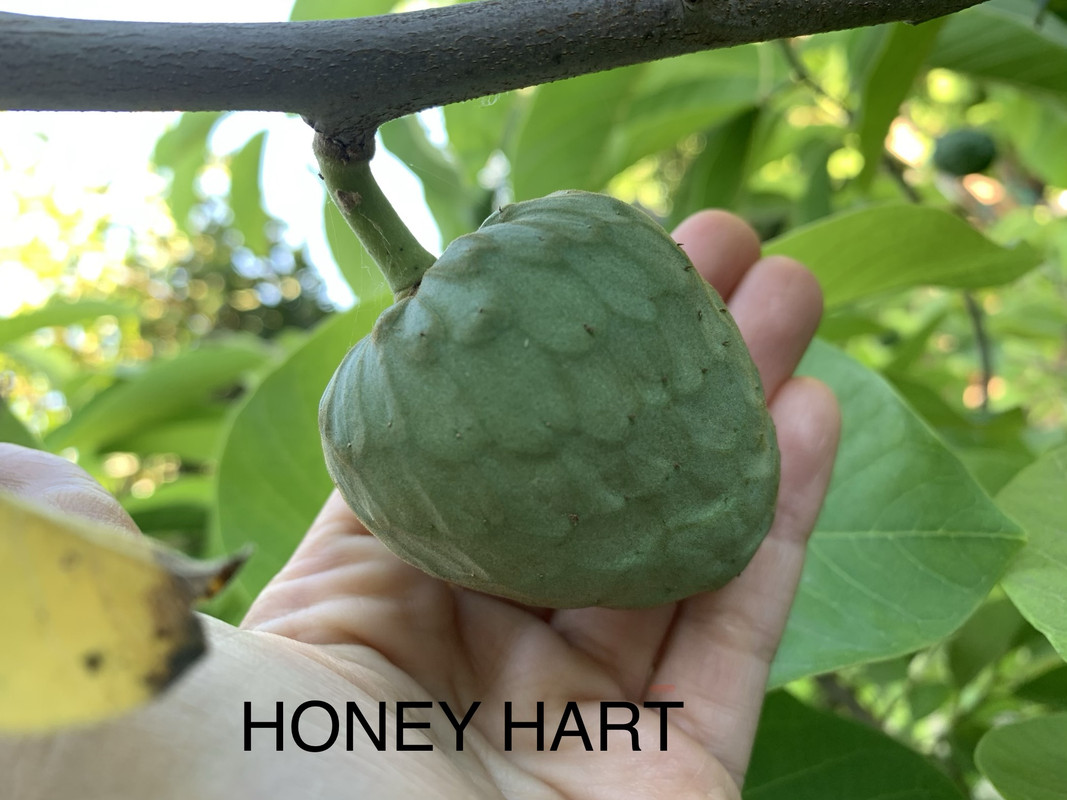 7AB3FAD1-1FB5-4C2C-A1E3-5A803FF34FA1