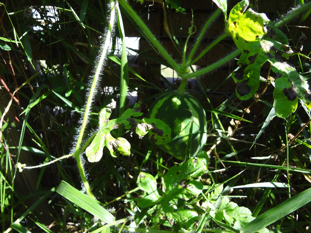 DSC02669