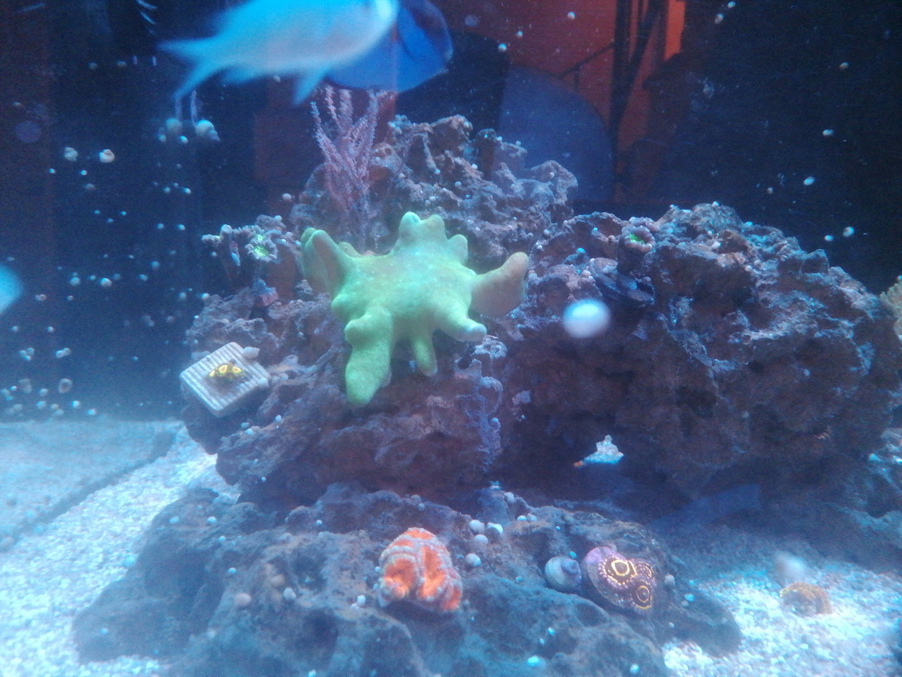 1769799186401133137031830353141