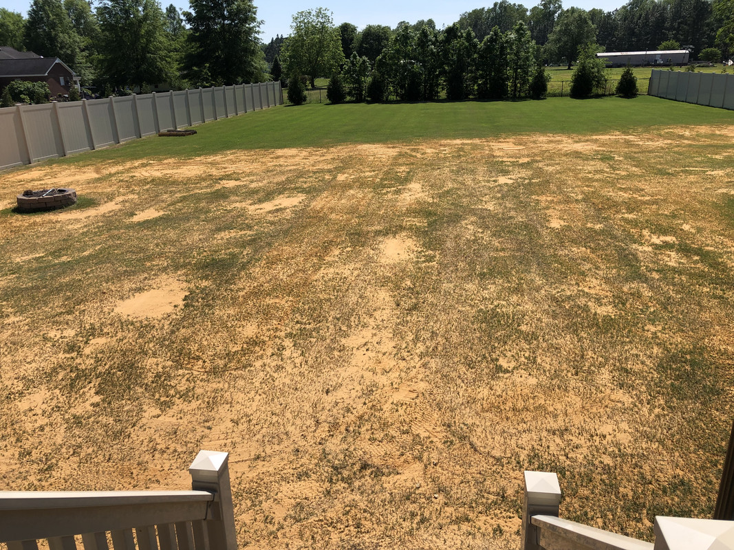 A22B160A-0A0A-498A-8F34-F038AEE99673