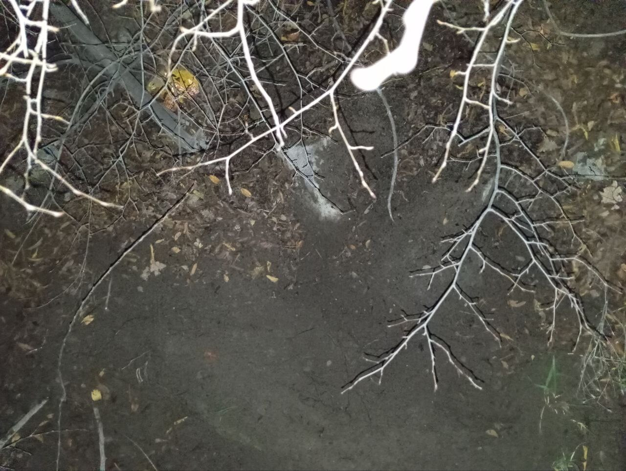 39f1815d628573f2aeb940f53674