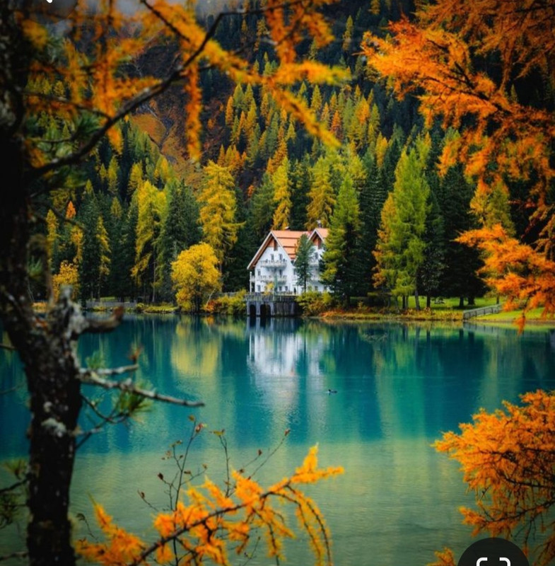 Screenshot_20240404_214800_Pinterest