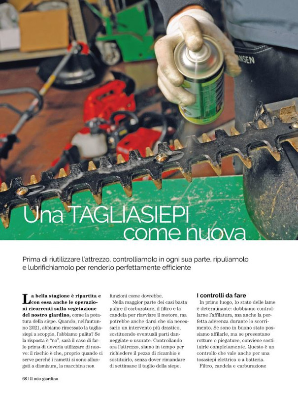 Il Mio Giar Apr-Mag 2022 (11)