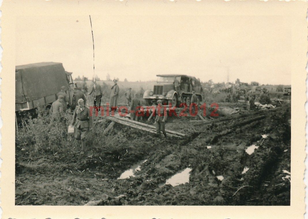 Foto, Halbkette im Schlamm bei Puławy, Polen