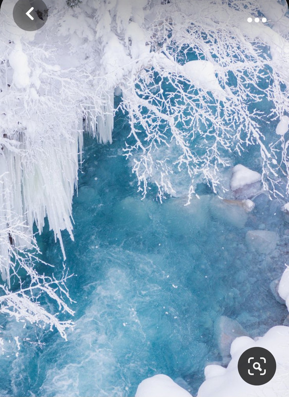 Screenshot_20231101_223530_Pinterest