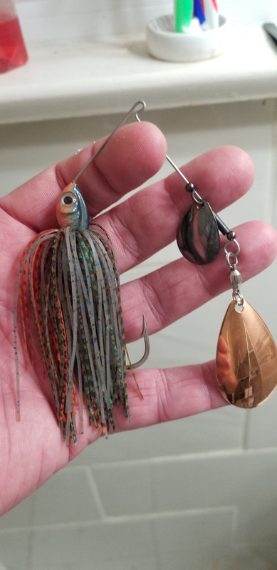 20190712-222344.jpg