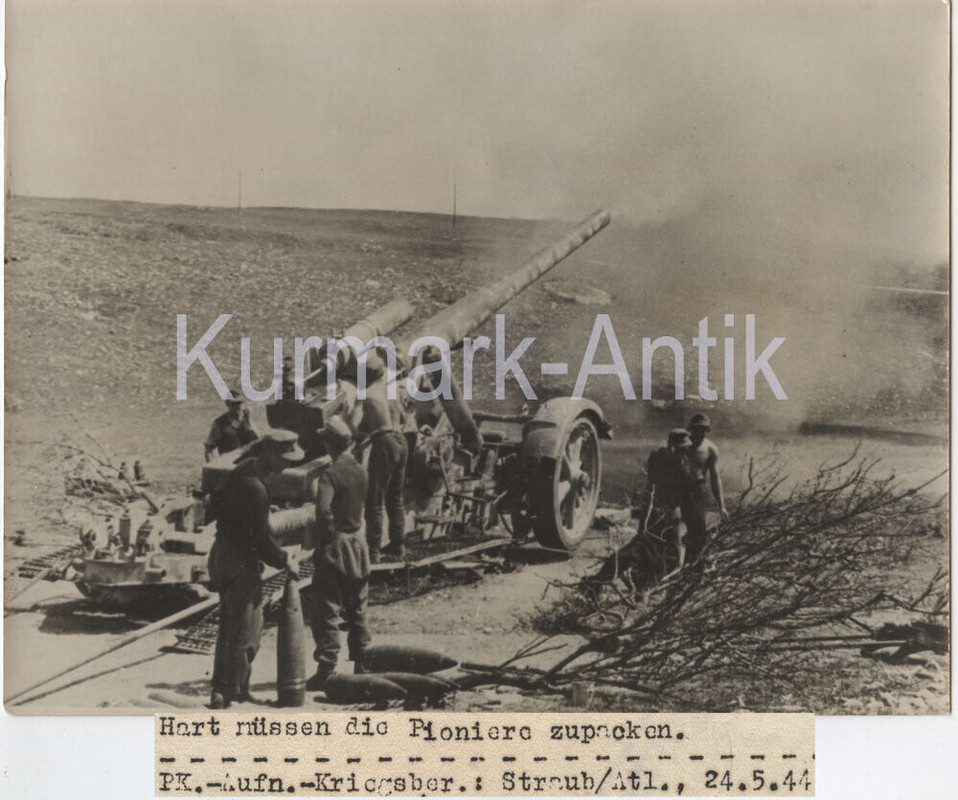 Foto Wehrmacht schw. Artillerie camo TARN Geschütz Lafette