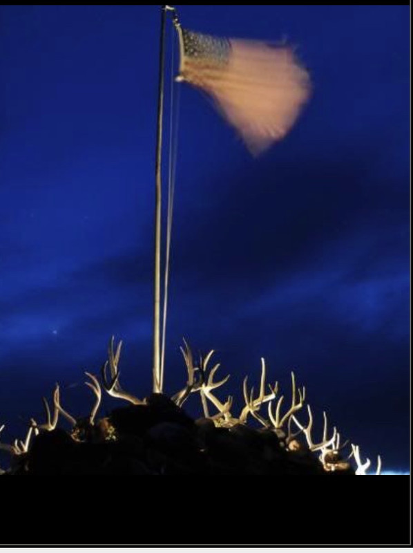 6593F0E9-8FC3-4130-B1DE-D32B426E8393