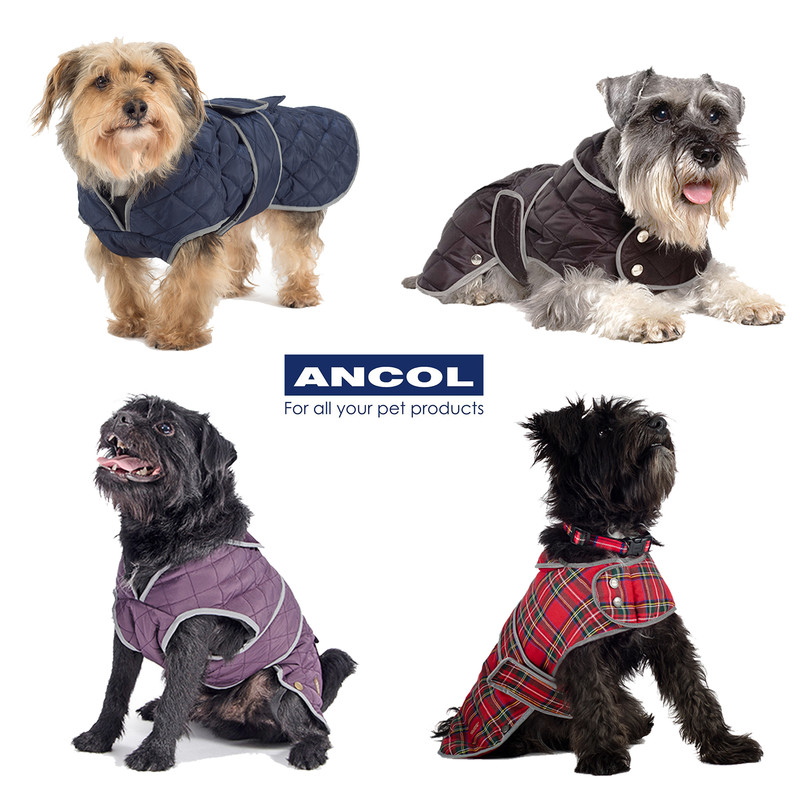 Ancol tartan dog coat Clearance