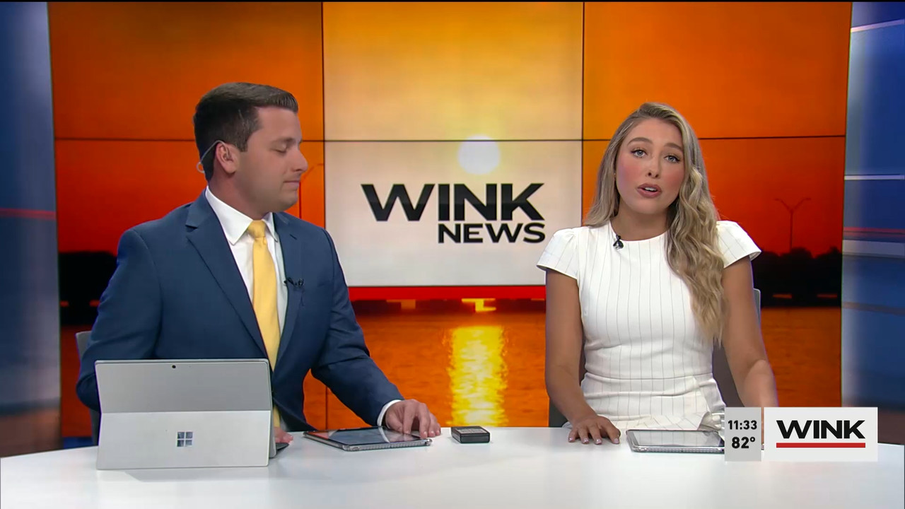 04.02 - 16.30.00 - WINK NEWS at 11 30am  ᴺᵉʷ. Midday news..ts_snapshot_09.29.891