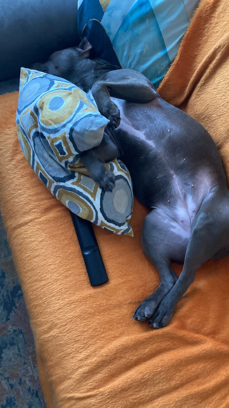 2612E45D-3539-412A-B699-E83CDA2FCC74