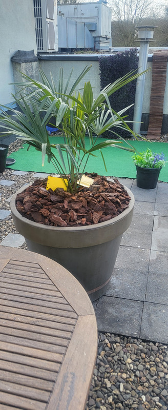 1743339973083503568297271794644