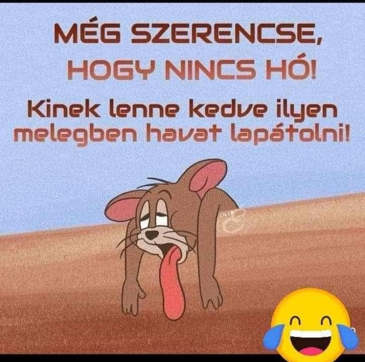 https://i.postimg.cc/3wSJSwHs/meg-szerencse.jpg