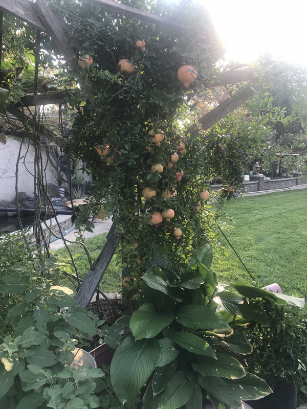 02740837-6718-44B6-97D4-8B4078398BE1