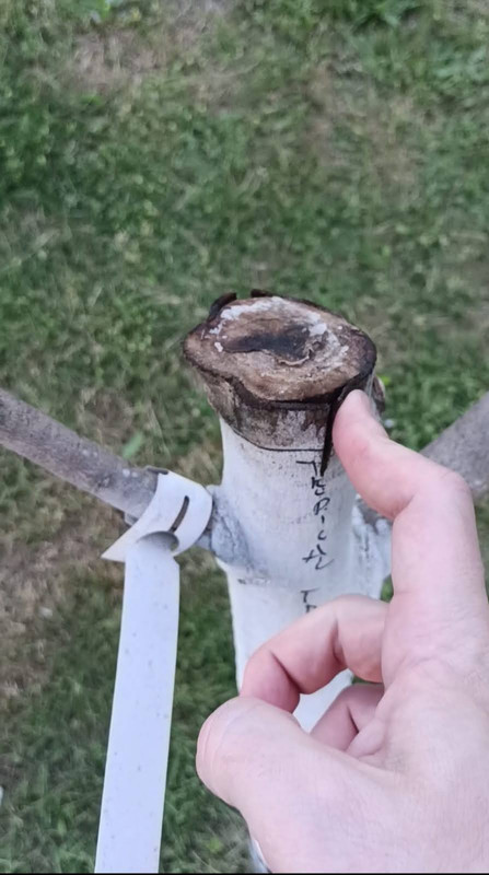 WhatsApp Image 2024-05-21 at 7.40.07 PM (1)