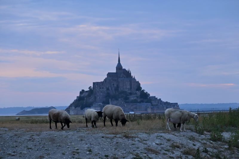 Día 4: Las ovejas de Saint-Michel y la joya de Dinan - 10 días de verano en la Bretaña francesa (2)