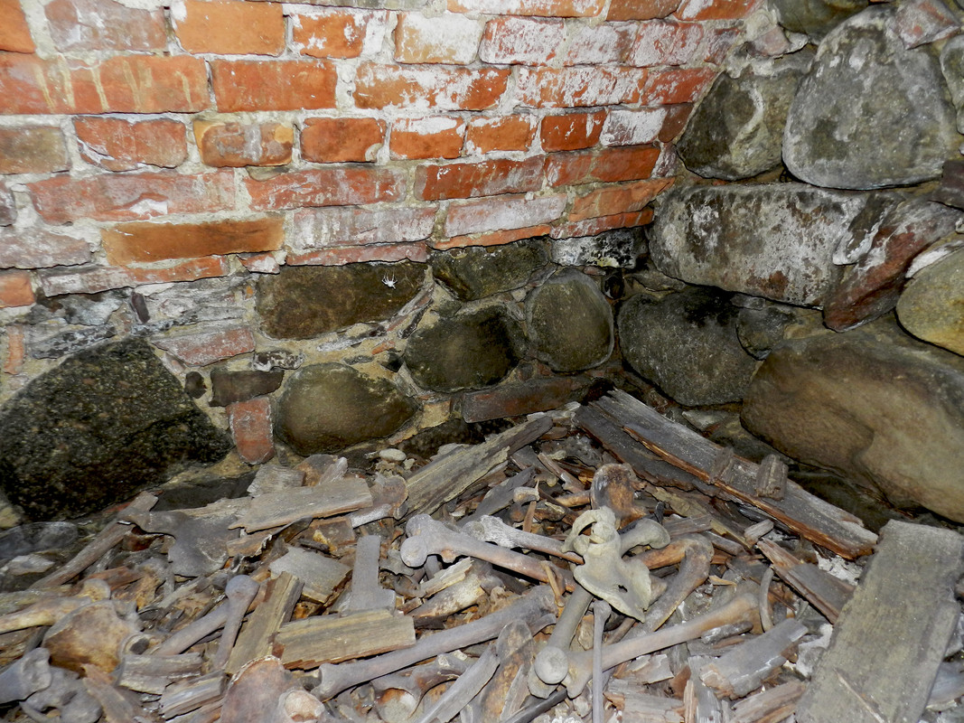 19.21 - DSCN0348 (Milady)