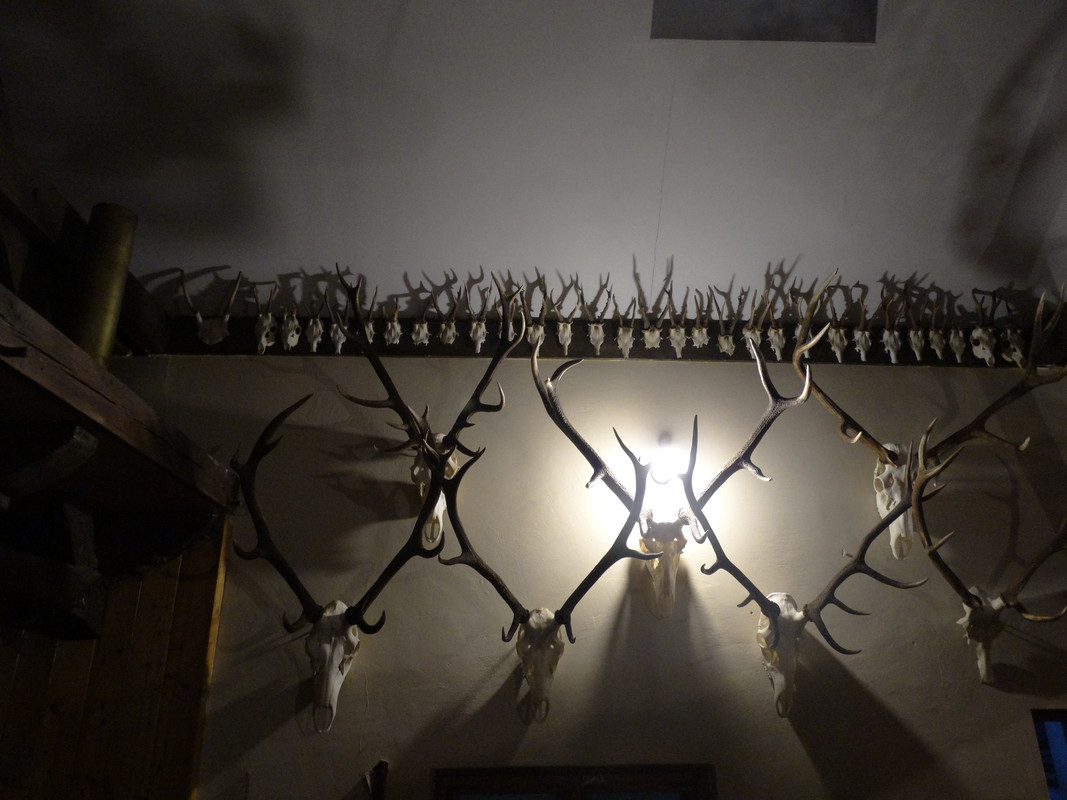 001 - DSC03913 (Czesio1)