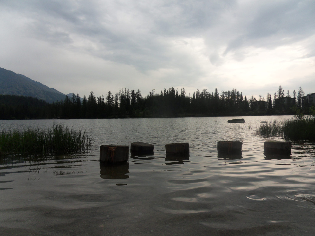 029 - SDC13862 (Czesio1)