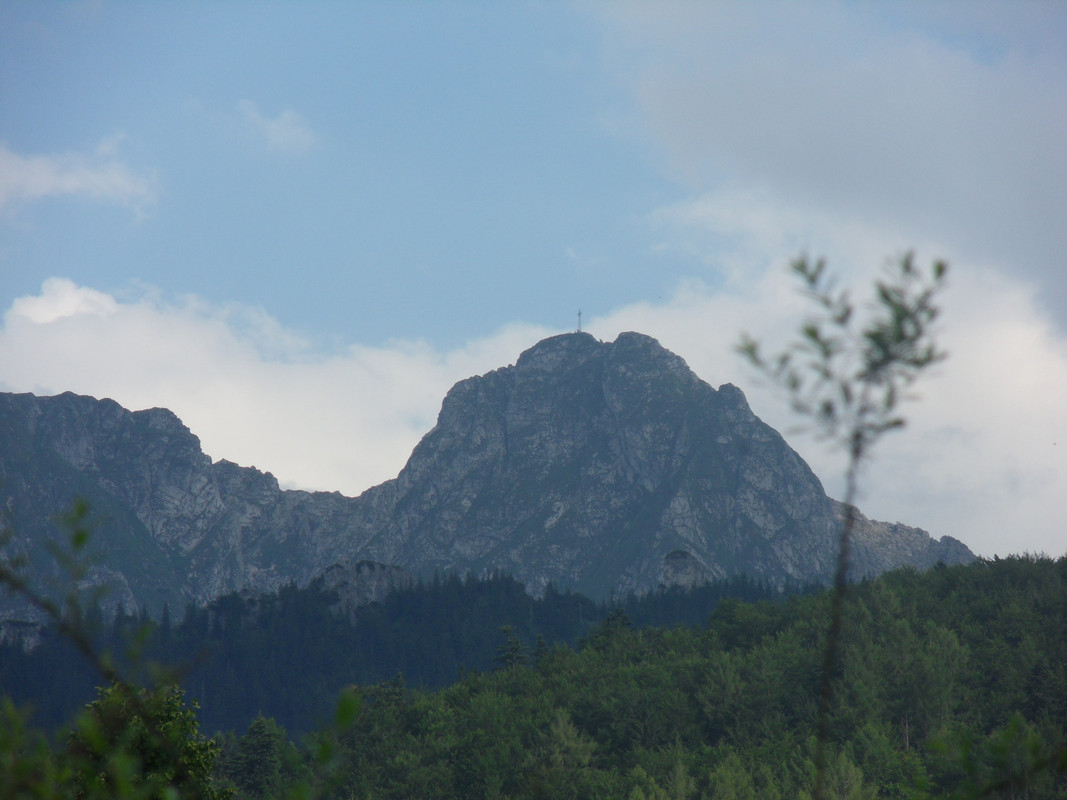 005 - SDC13698 (Czesio1)