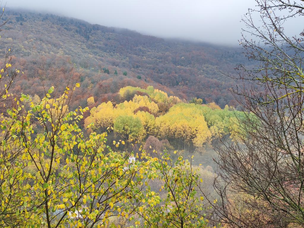 IMG 20251108 081656