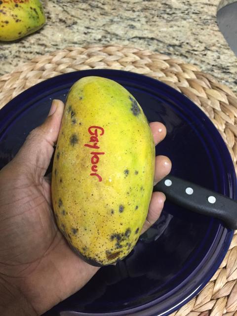 4DA34120-2BEA-4287-8B08-456DB316B2D8