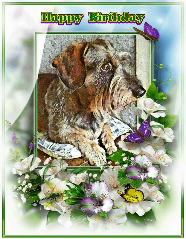 [Image: IMG-0696.jpg]