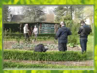 groene-vingers-2011-jpg-1