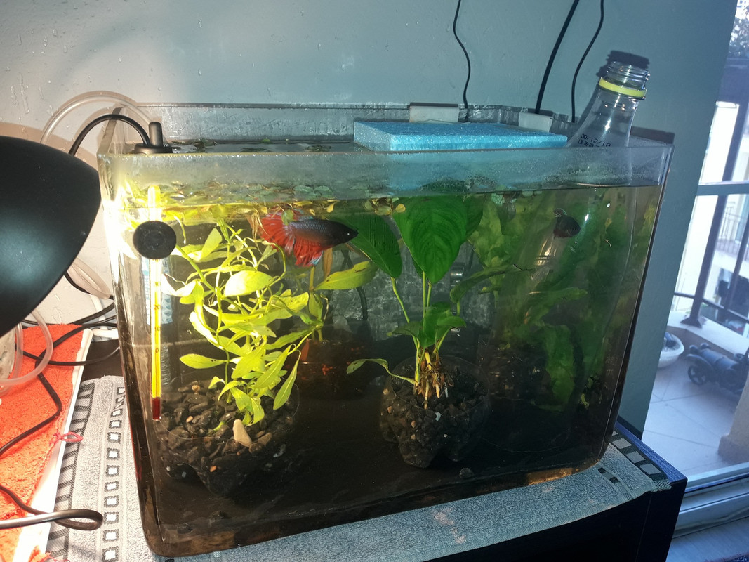 подготовка