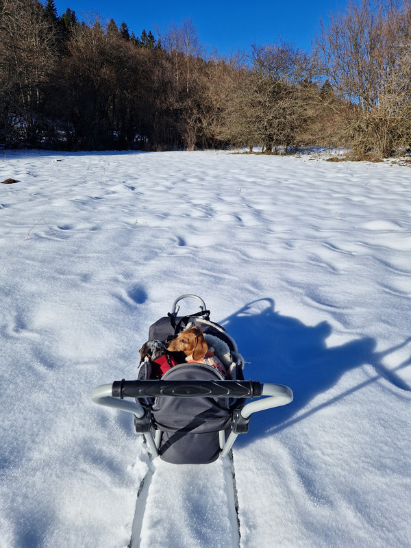 [Image: 20241228-142753.jpg]