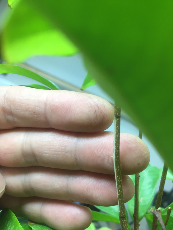 F793C64F-64CB-408B-AC93-9363F39D1B47