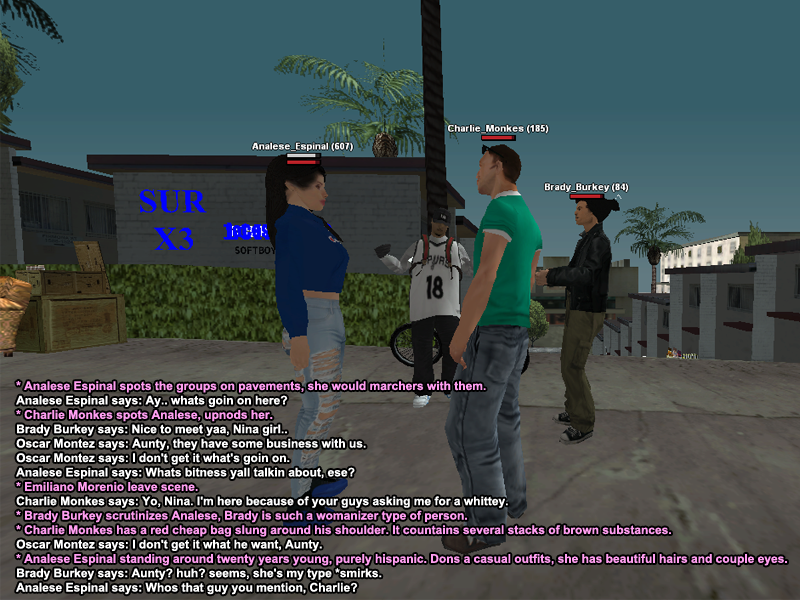 ss133.png