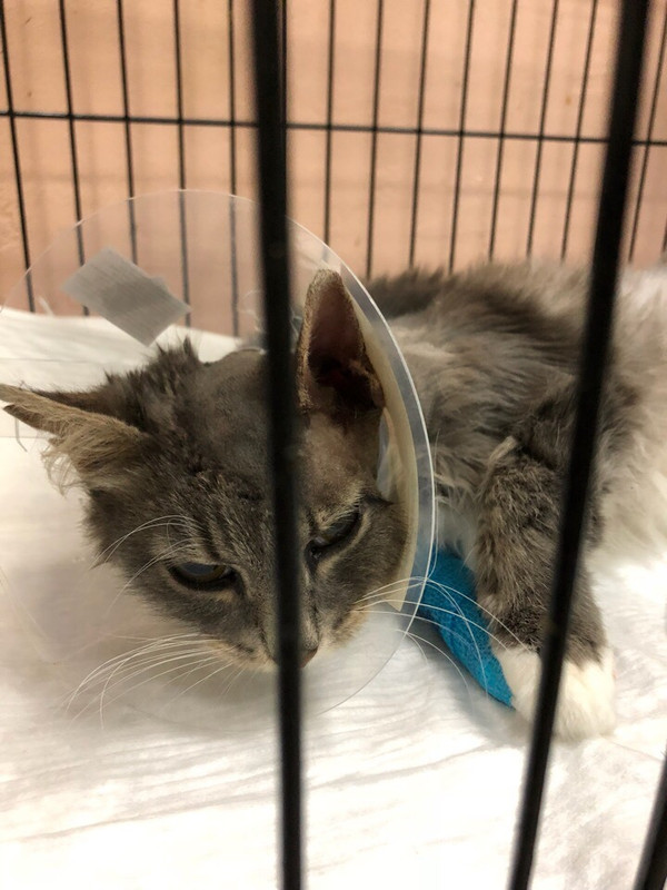 7AD89B43-20F4-4CEC-823C-98E926352711