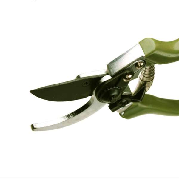 Foarfeca de Gradina 1