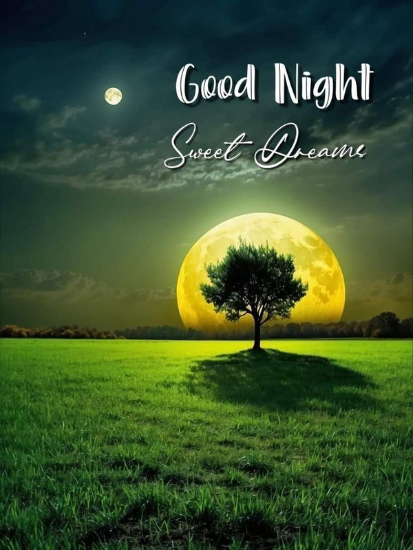 download - 2025-10-11T072446.953