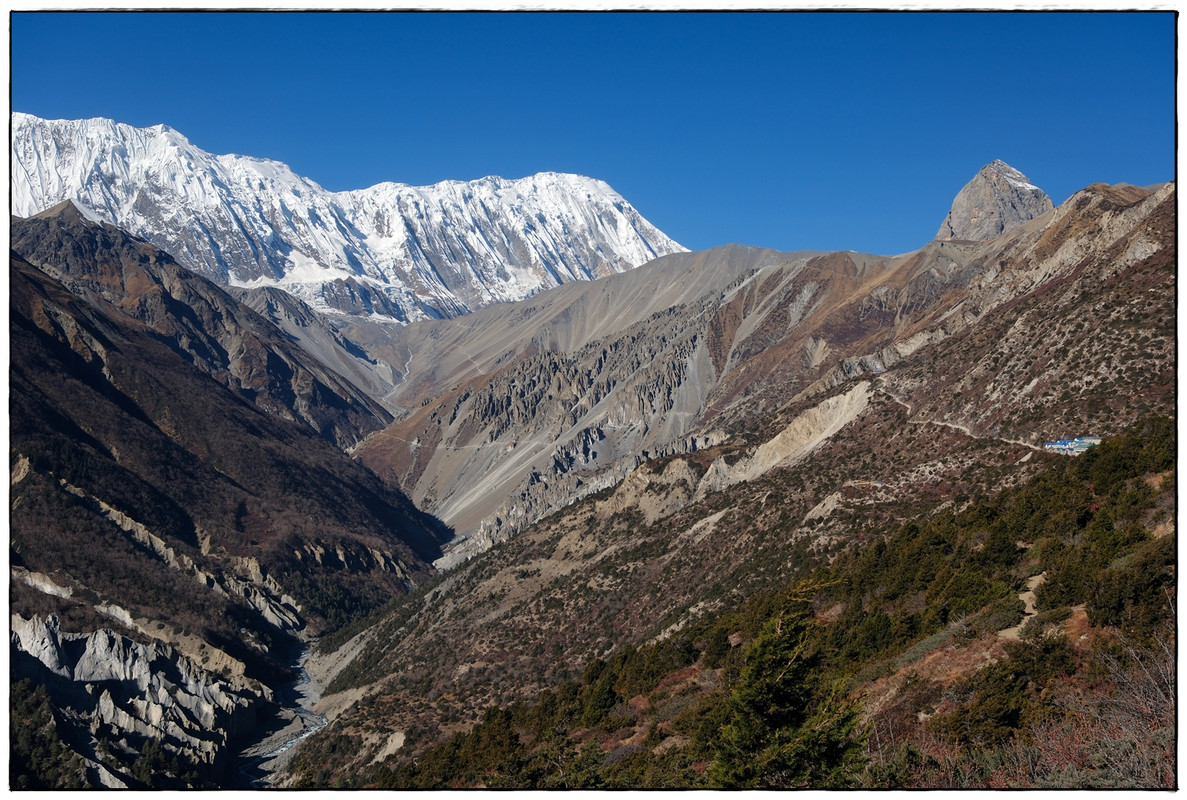 AC día 10: Shree Kharka (4067 m) a Yak Kharka (4069 m) - Trekking en Nepal: Annapurna Circuit y Mardi Himal (2)