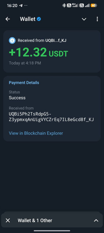 IMG 20260329 195104 089