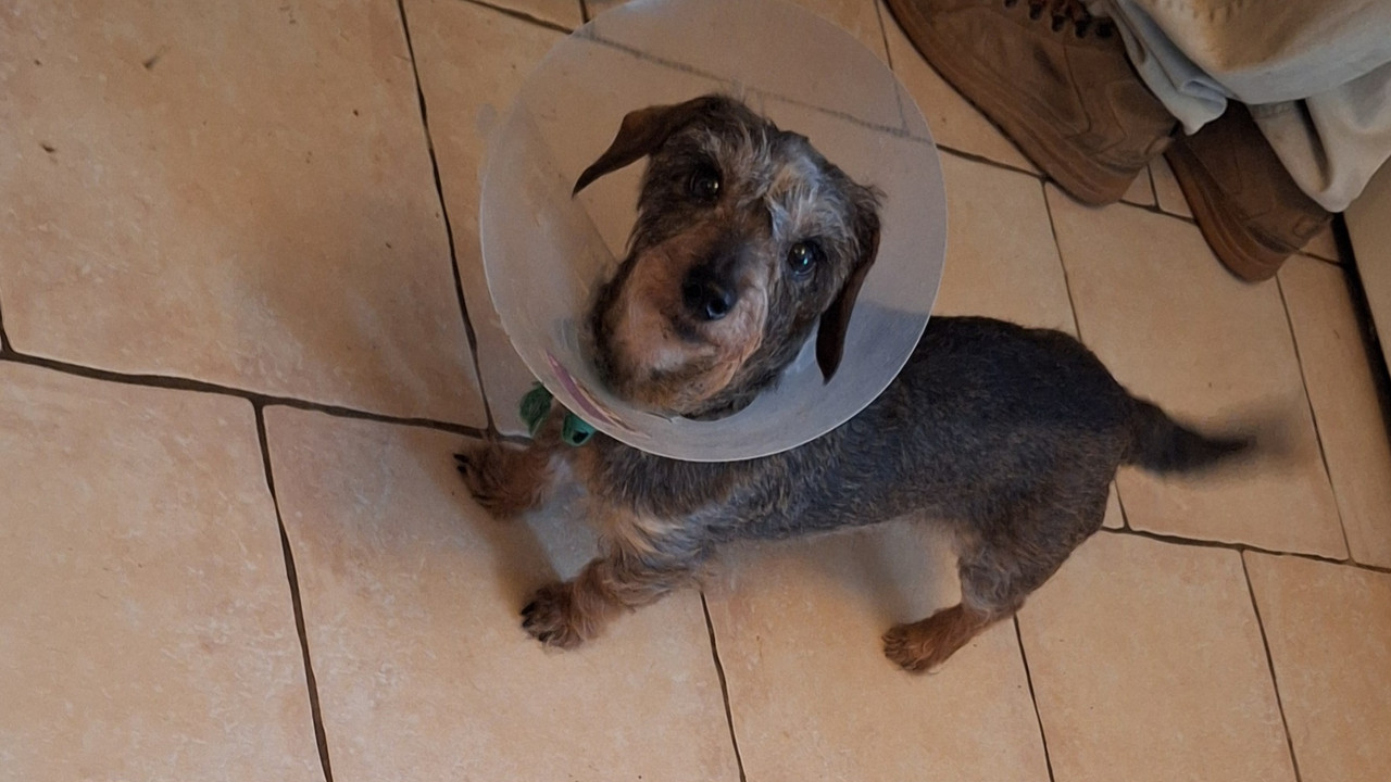 [Image: 20250309-110619.jpg]