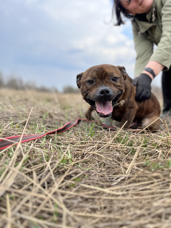 image-09-04-23-05-25 (1)