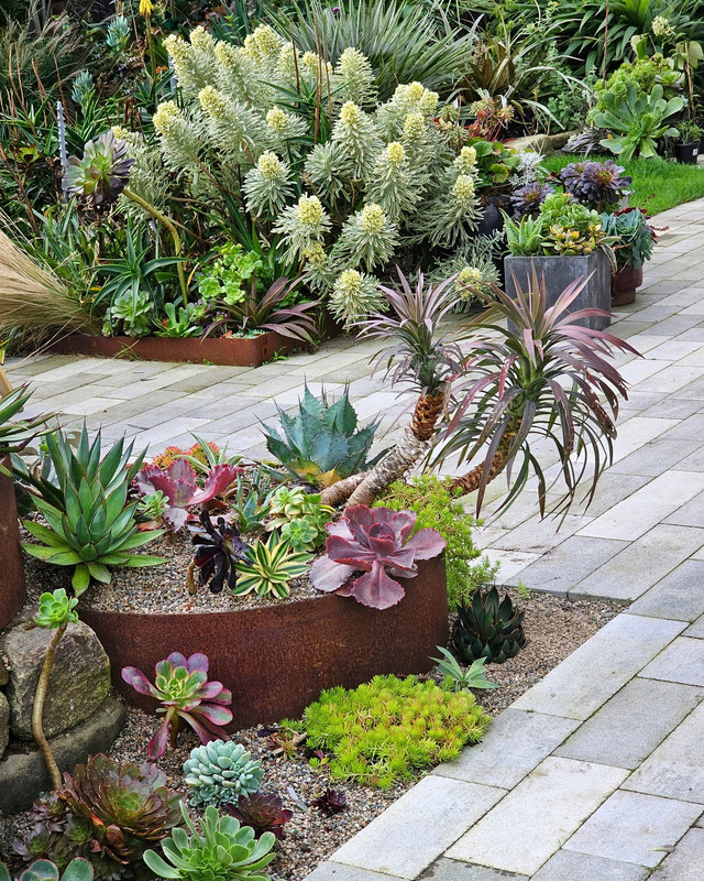 IMG_20231017_143739_547