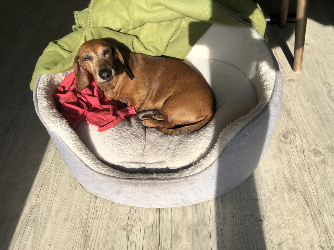 [Image: IMG-3074.jpg]