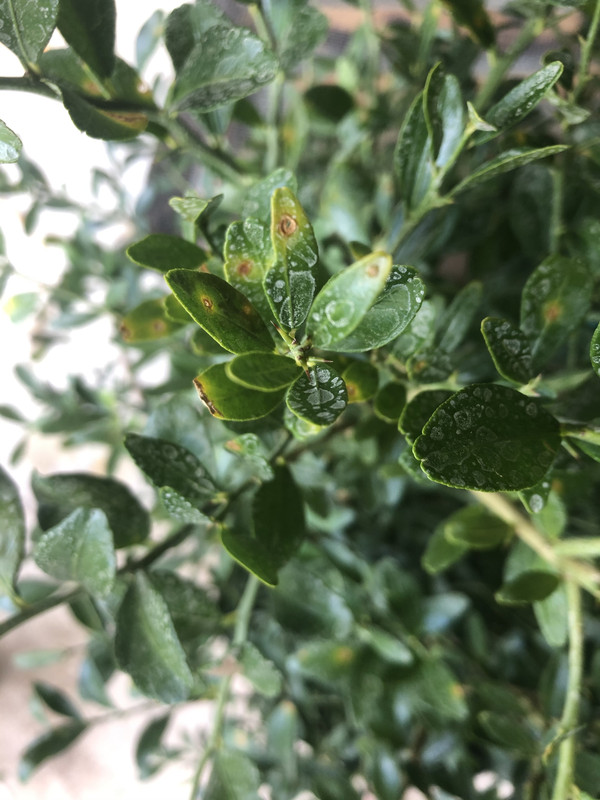 8388EE7B-13D5-458A-A396-85631A0029BF