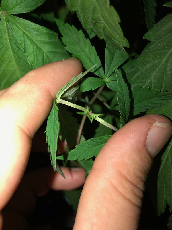 26D9F89D-184B-4F47-83D4-DB05DE483D80