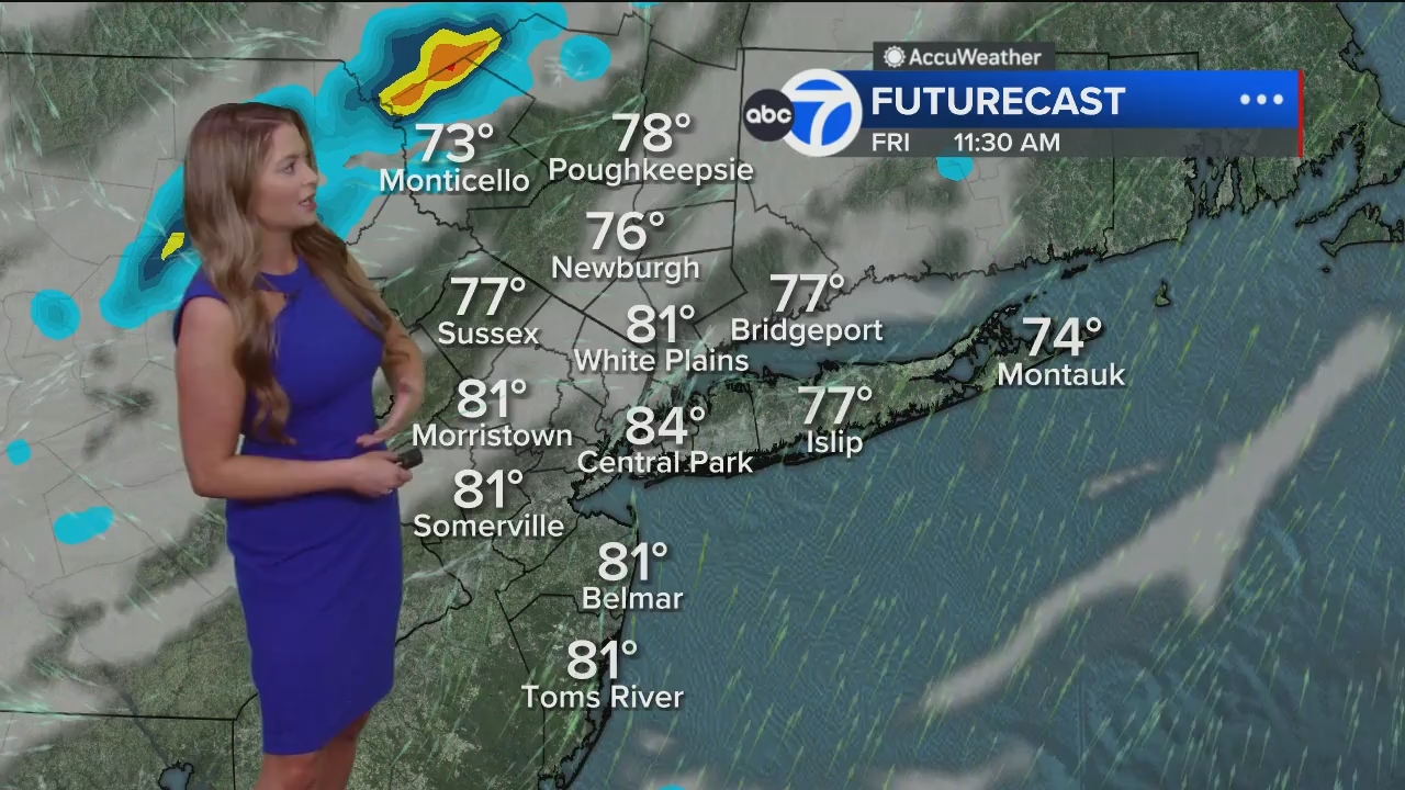 Eyewitness News Mornings at 10_20240614_15001600.ts_snapshot_00.24.49.837