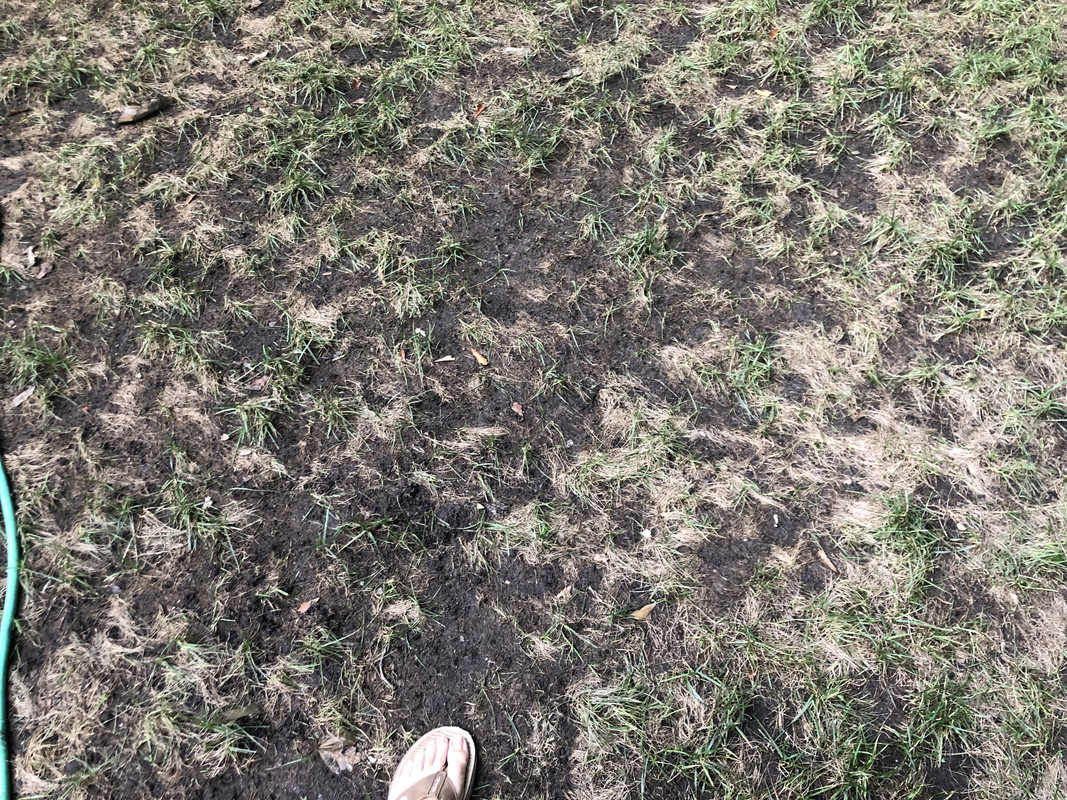 23BE80B8-FD69-4C4E-BD47-DFC44B0C68E0