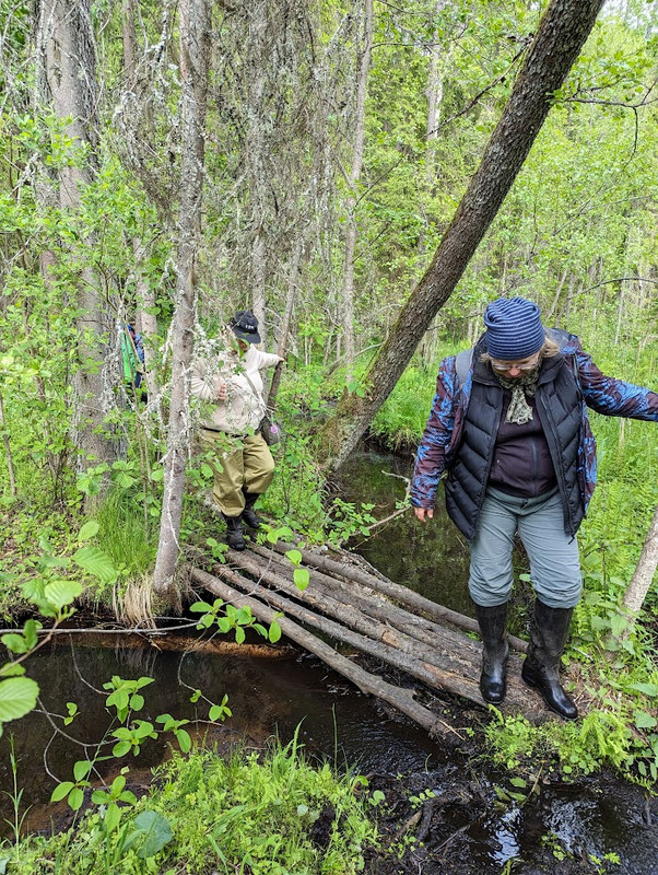 PXL_20230603_120241632