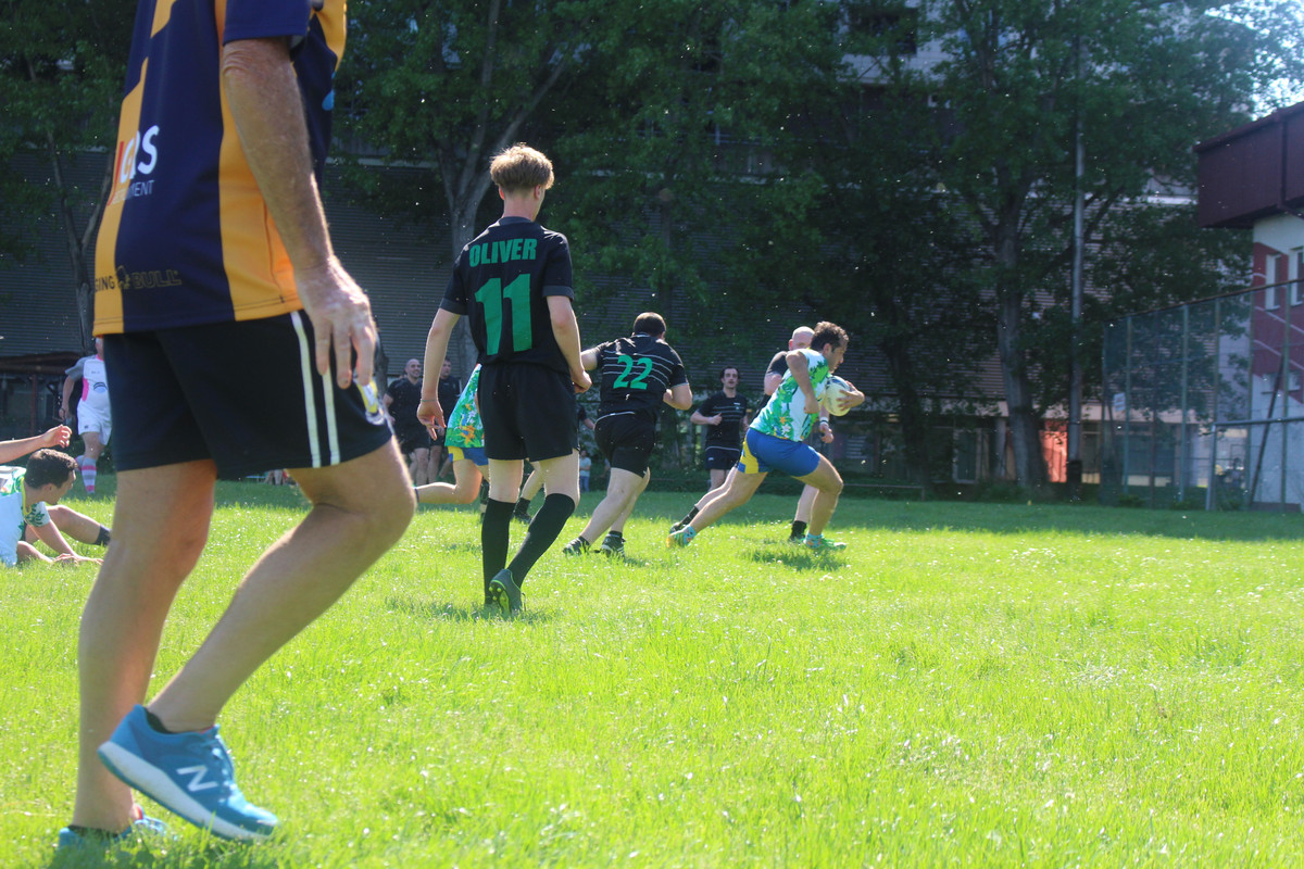 IMG-0452