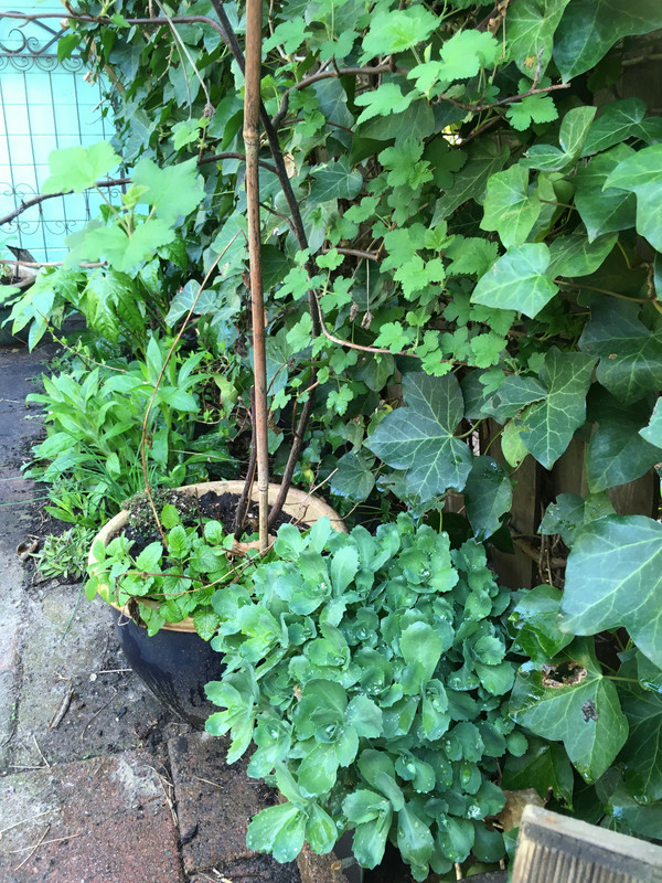 312B0DBE-4F84-415C-B687-399655763191