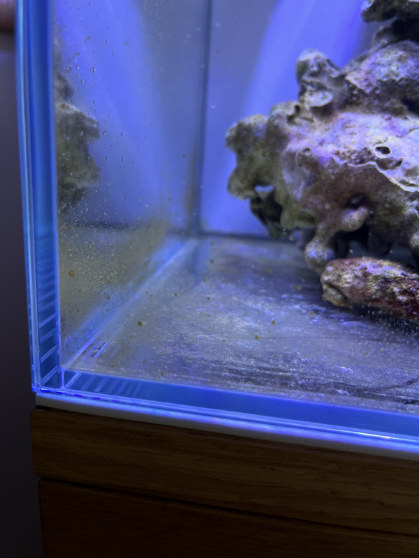 7E6663CE-FDED-48DA-BDB9-3C6084403880